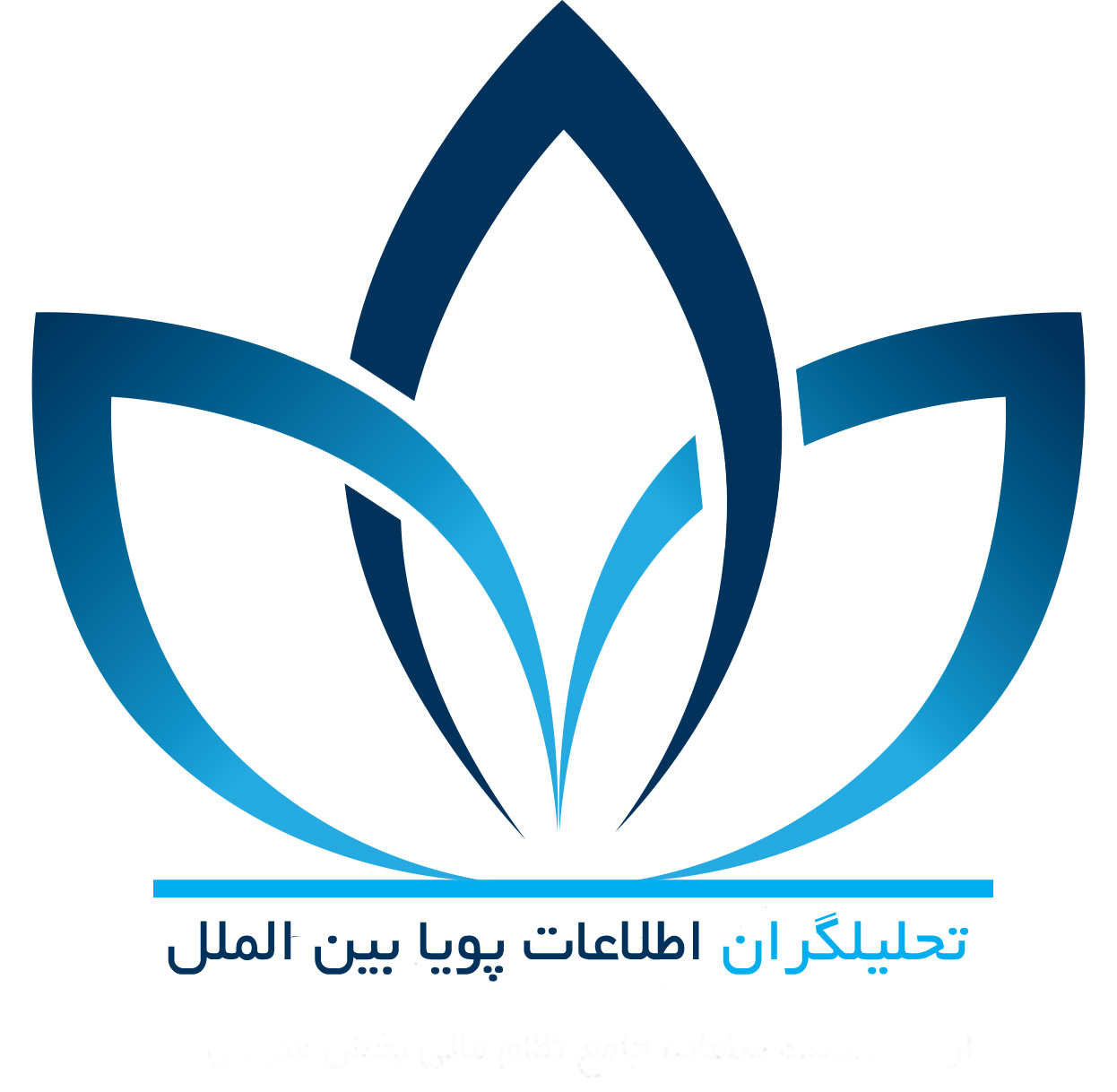 تحلیلگران اطلاعات پویا بین‌الملل